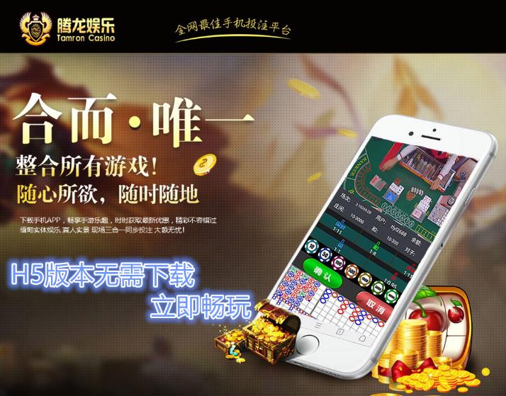 游戏种类